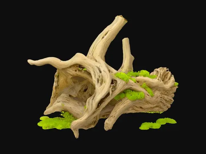 3D model for Highly detailed, some algae, a piece of driftwood, one object, various textures, minimalist webtoon style, high saturation.