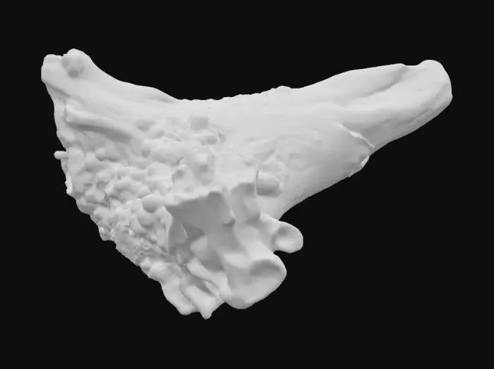 3D model for Highly detailed, some algae, a piece of driftwood, one object, various textures, minimalist webtoon style, high saturation.