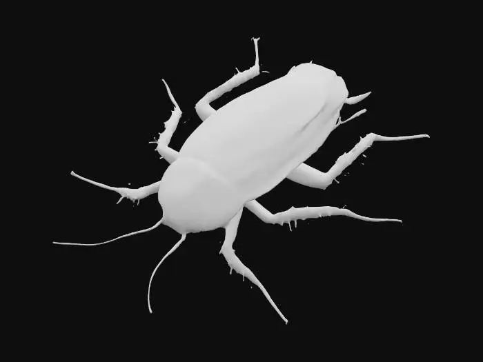 3D model for Cockroach Symphony