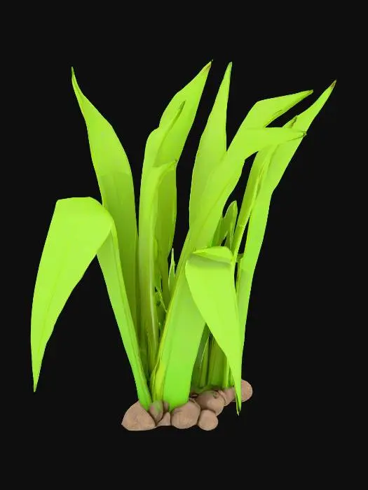 3D model for Grass Cluster