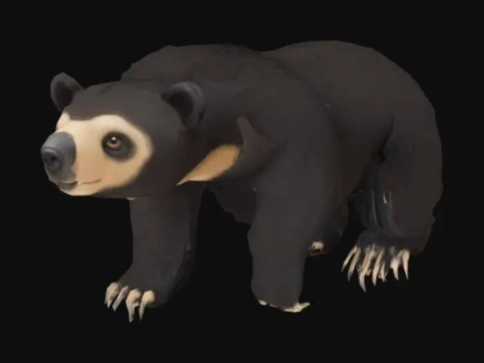 3D model for Sloth Bear