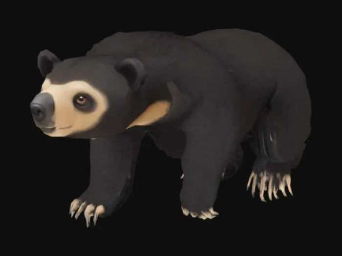 3D model for Sloth Bear