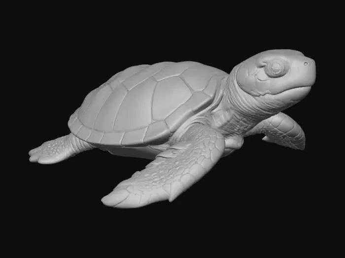 3D model for Journey Begins