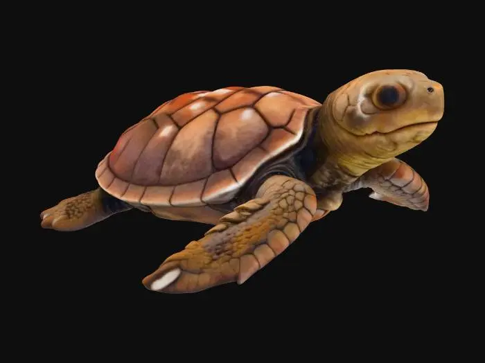 3D model for Journey Begins