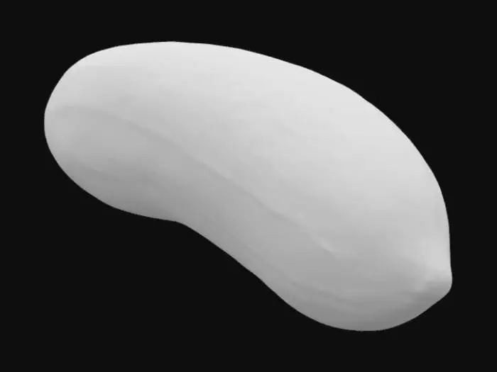 3D model for Melon Harmony