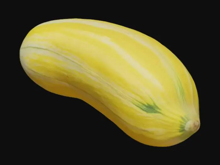 3D model for Melon Harmony