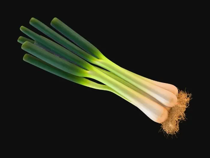 3D model for Green onion