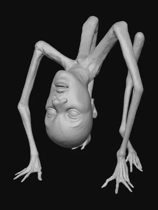 3D model for Metamorphosis Symmetry