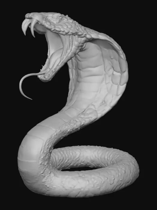 3D model for Fierce Cobra Illustration