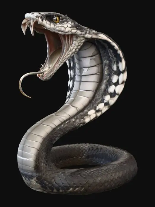 3D model for Fierce Cobra Illustration