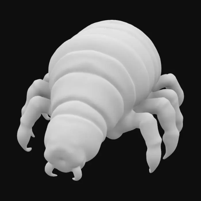 3D model for Generate a highly detailed 3D model of a tardigrade, also known as a water bear. The model should feature a soft, segmented body with eight stubby legs, each ending in tiny claw-like structures. The texture should have a slightly translucent, wet, and rubbery surface, resembling a microscopic organism. The head should include a circular mouth with radial folds. Ensure a scientifically accurate