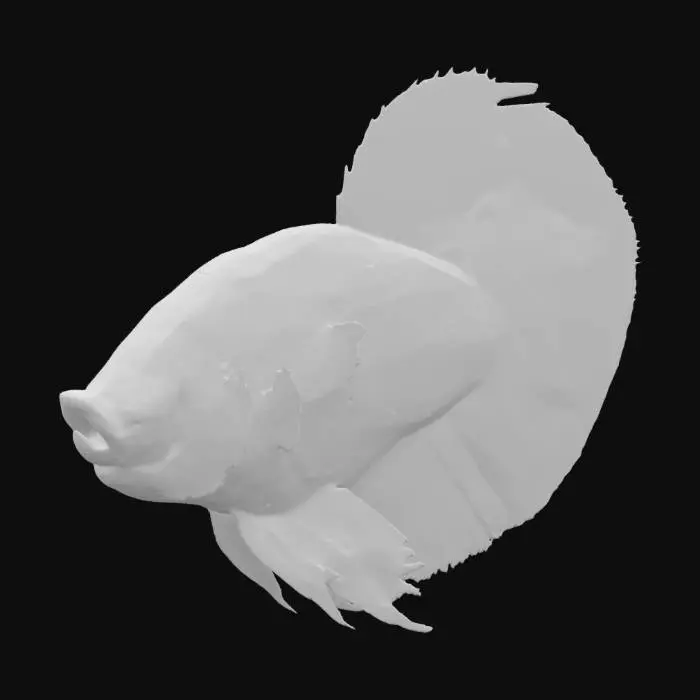 3D model for Watermelon Betta