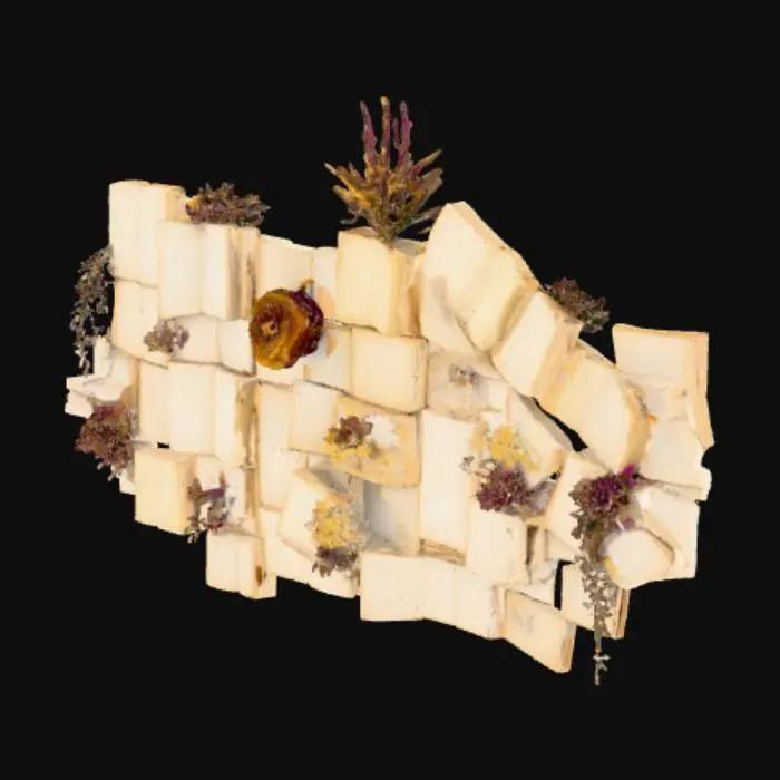 3D model for Floral Pages