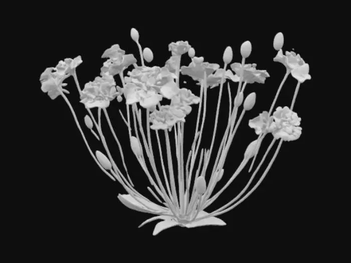 3D model for Blossom Harmony