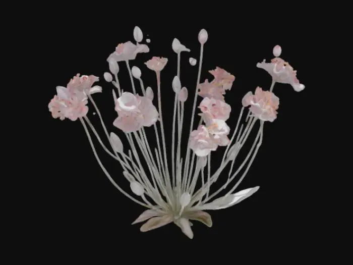 3D model for Blossom Harmony