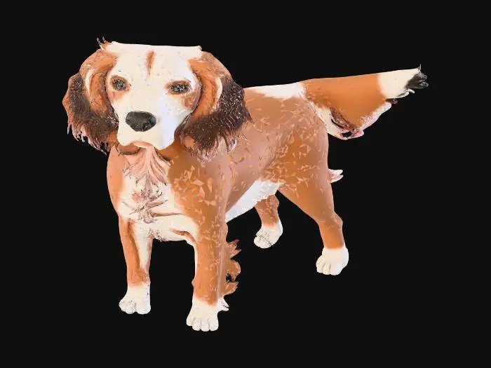 3D model for dog in a kennel (4)