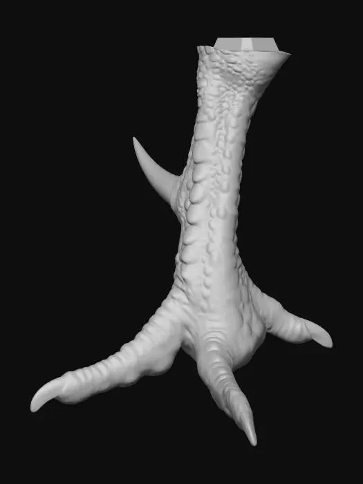 3D model for Hen's Talon