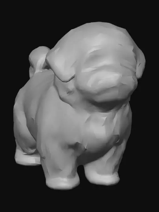 3D model for Bichon Test