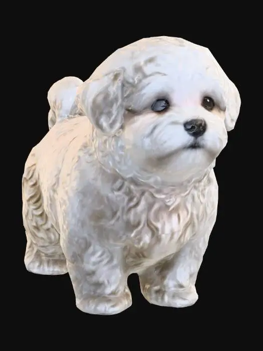 3D model for Bichon Test
