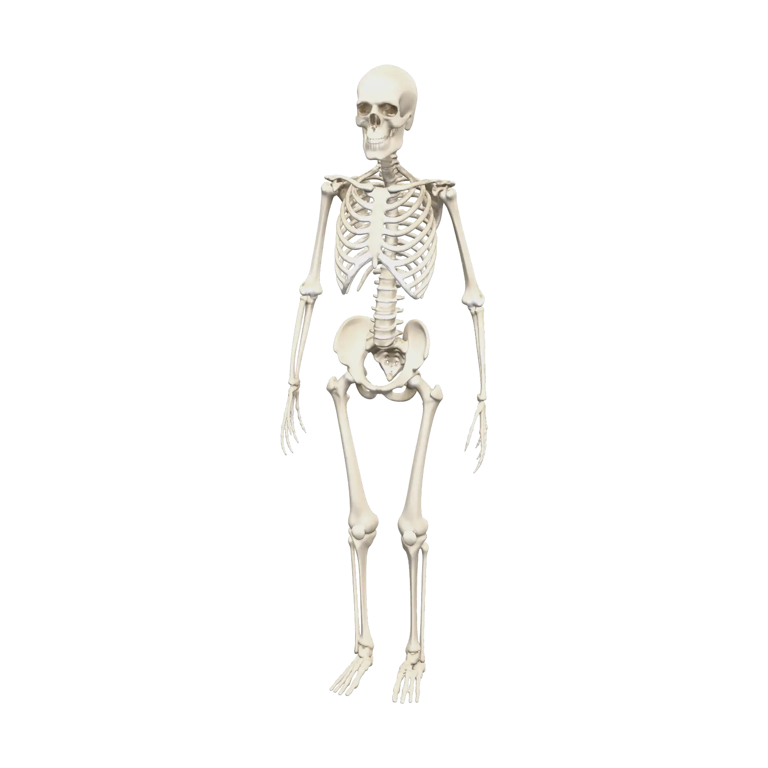 xray