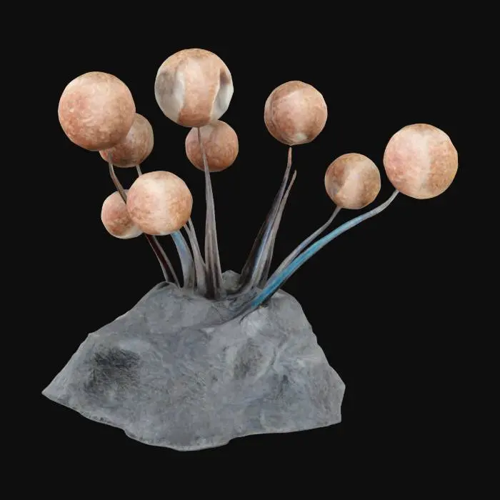 3D model for Nature's Spheres