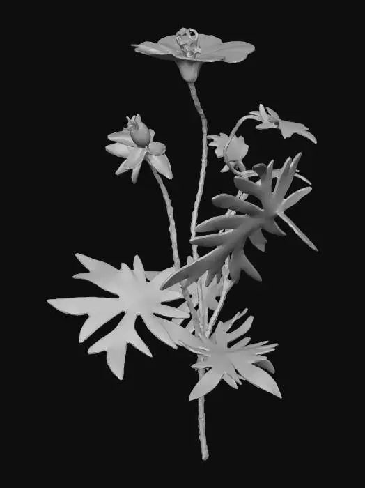 3D model for blood geranium