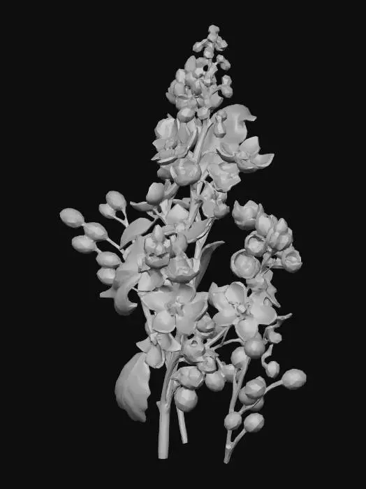 3D model for bird cherry