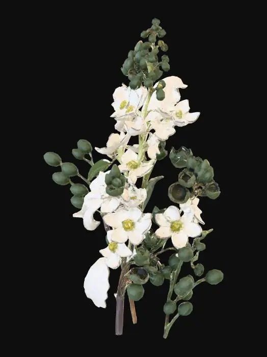 3D model for bird cherry