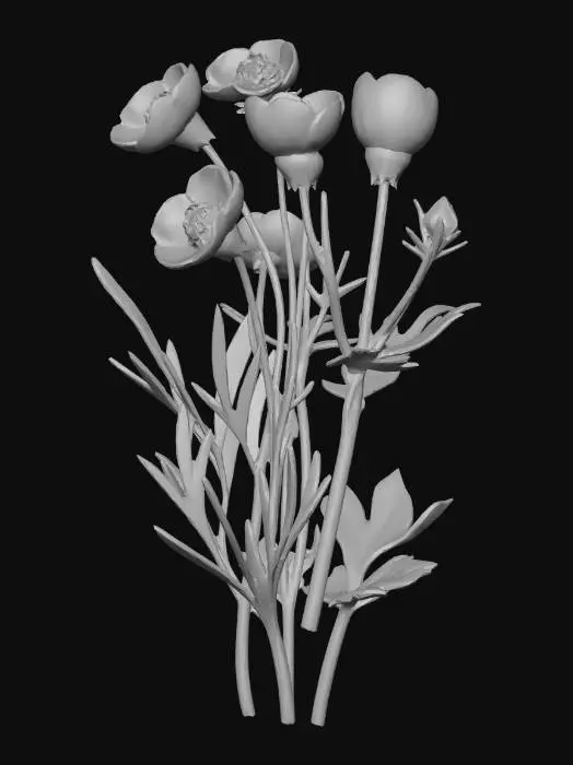 3D model for Buttercup Blossoms