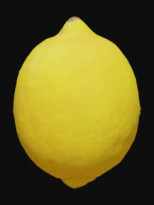 3D model for Lemon 