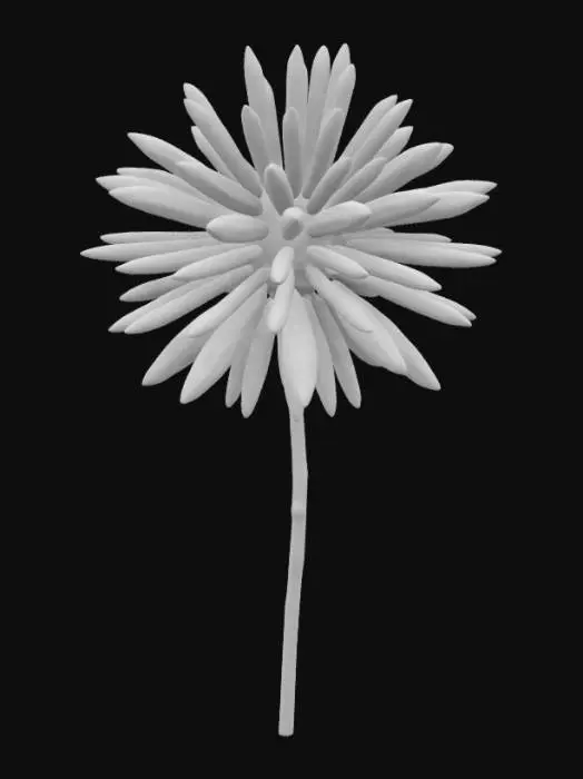 3D model for FLOR DE INIRIDA
