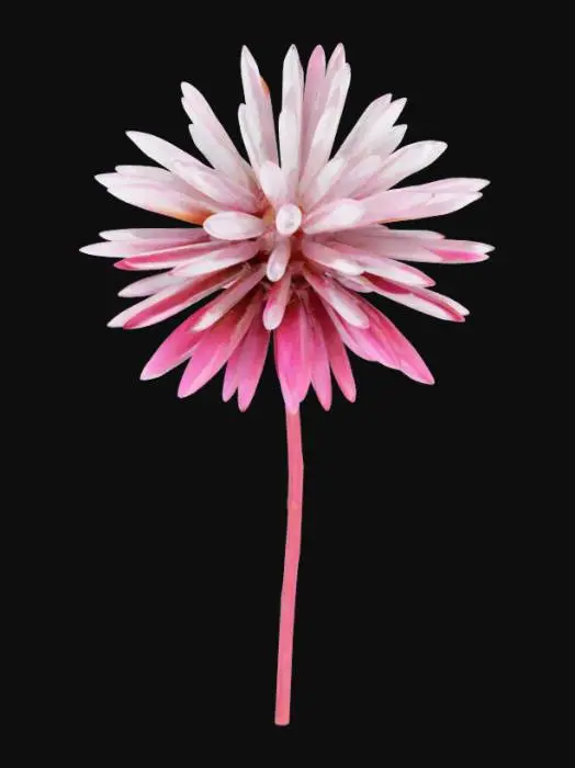 3D model for FLOR DE INIRIDA
