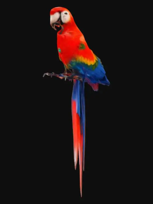 3D model for Scarlet Serenity