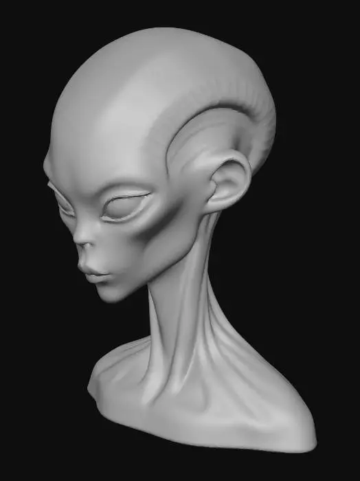 3D model for Celestial Elegance