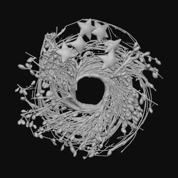3D model for Starry Blossom Wreath