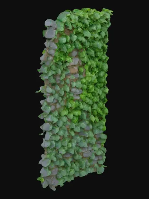 3D model for A slender section of a weathered stone wall, its profile notably thin, revealing the distinct layering of its grey and brown flagstones. Delicate strands of vibrant green ivy, with small, heart-shaped leaves, sparsely climb its narrow face, clinging to the rough texture. The ivy creates an intricate, yet open, pattern that seems to continue seamlessly onto an adjacent, similarly thin wall segment.