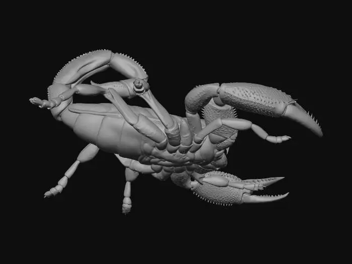 3D model for Front-Facing Black Scorpion