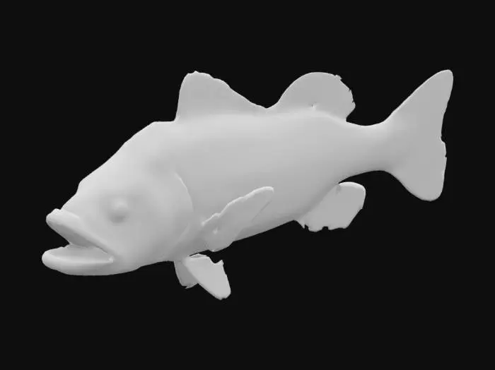 3D model for Peacock Bass Illustration