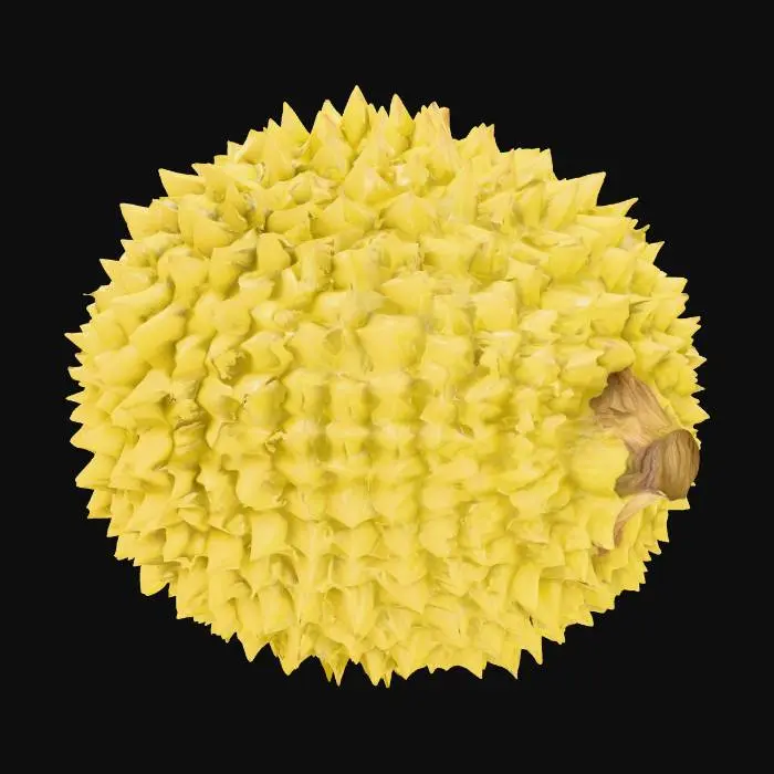 3D model for A highly detailed, realistic 3D model of a whole durian fruit, optimized for easy 3D printing as an STL file. The exterior husk is covered in sharp, pyramidal thorns with intricate textures, varying in size and density for a natural look—larger thorns at the base tapering to smaller ones at the top. Include subtle veins and ridges on the husk surface for added realism and easy texturization. The overall shape is oval and slightly asymmetrical, about 20-25 cm long, with a sturdy, flat base for stable printing without supports. Ensure the model is solid, manifold, watertight, and high-poly (at least 1 million polygons) for fine details, but with optimized geometry to avoid excessive overhangs or thin features that could break during printing. 