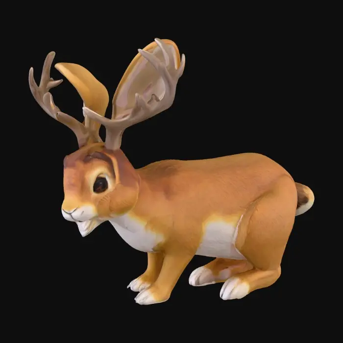 3D model for Jackalope