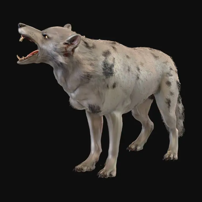 3D model for werewolf howling