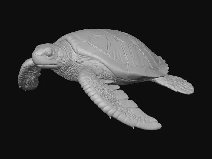 3D model for Sea Glide