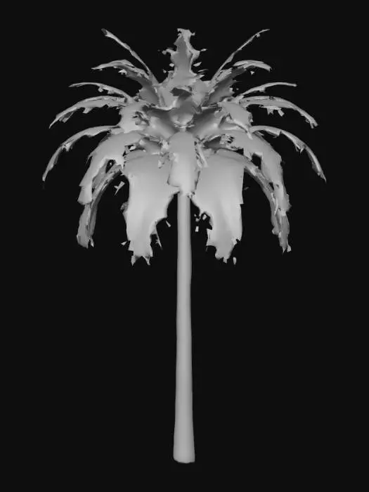 3D model for a palm tree