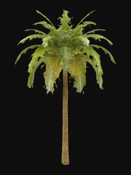 3D model for a palm tree