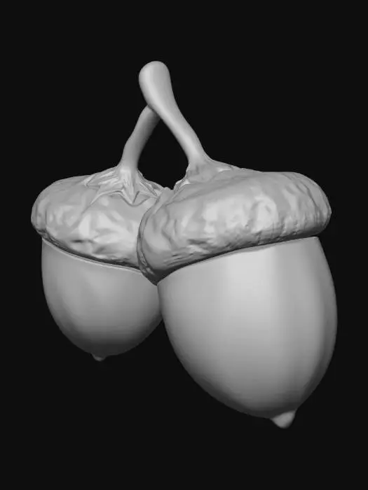 3D model for Silhouette of two acorns