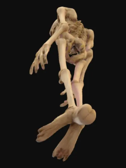 3D model for Un personnage horrifique et longiligne, doté d'une hauteur imposante et d'une silhouette d'une maigreur effroyable, où chaque os semble vouloir percer la peau. Son épiderme, d'une pâleur cadavérique, est tendu et tiré sur une structure corporelle anguleuse et décharnée. Les membres sont étirés et fins, les articulations proéminentes. La texture de la peau, fine et presque translucide, laisse deviner un réseau de veines et de muscles atrophiés, avec des teintes grisâtres et jaunâtres. Le visage, émacié, présente des joues creuses et des yeux enfoncés, accentuant son apparence spectrale et terrifiante.