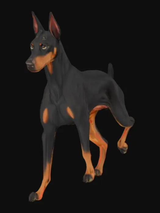 3D model for doberman
