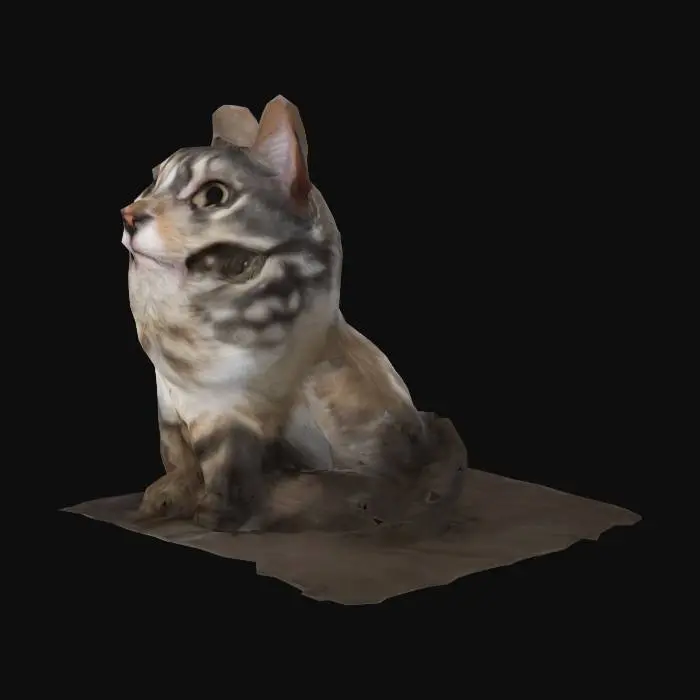 3D model for Cat Close-Up