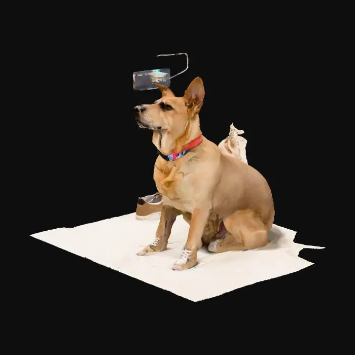 3D model for Dog Day Moment