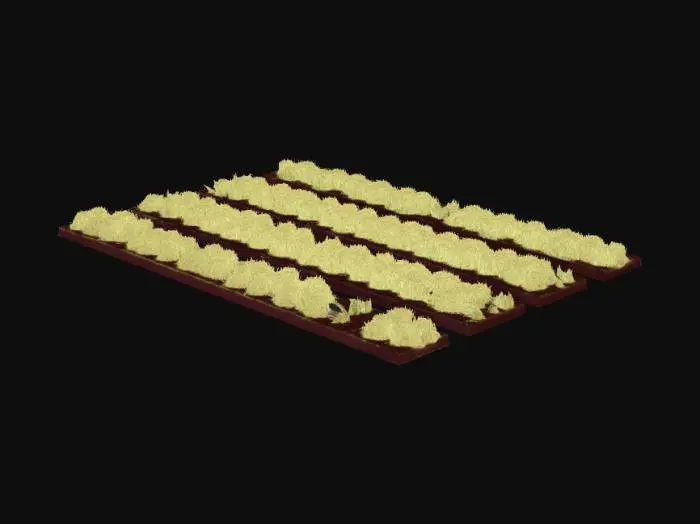 3D model for > Create a clean, realistic 3D model of several long, narrow agricultural field strips placed side by side. Each strip should be 20 meters long and 2 meters wide, with a soil base 0.25 m thick. Use separate meshes for each strip.  
>  
> Add different grain crops on each strip: rye, barley, wheat, oats, spelt, and triticale. Represent crops as simplified geometry or particle-like vegetation with soft, natural variation, not high-detail plants.  
>  
> Soil material: dark brown, slightly rough, realistic ground texture.  
> Vegetation material: soft, low-contrast colors, natural gradients, no sharp details.  
>  
> Style: realistic but clean, low-contrast, low poly, soft transitions, similar to aerial agricultural visualization.  
>